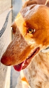 KINDER Image 5